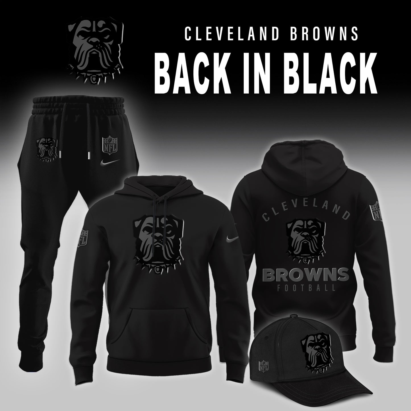 Cleveland Browns Back In Black Limited Edition Hoodie